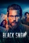 Poster for Black Snow