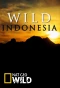 Poster for Destination Wild: Indonesia