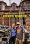 Poster for Accidental Renovators