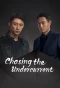 Poster for Chasing the Undercurrent