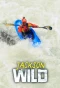 Poster for Jackson Wild