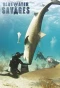 Poster for Blue Water Savages