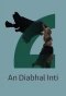 Poster for An Diabhal Inti