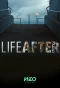 Poster for Life After