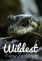 Poster for Wildest New Zealand