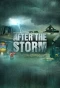 Poster for After the Storm