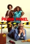 Poster for The Prank Panel