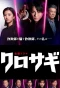Poster for The Black Swindler