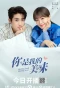 Poster for Healing Food, Healing Love