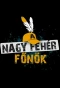 Poster for A Nagy Fehér Főnök