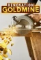 Poster for Renovation Goldmine