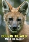 Poster for Dogs in the Wild: Meet the Family