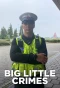 Poster for Big Little Crimes