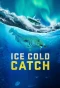 Poster for Ice Cold Catch
