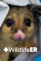 Poster for Wildlife ER