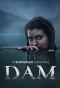 Poster for DAM