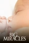Poster for Big Miracles