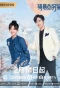 Poster for Perfect Mismatch