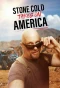 Poster for Stone Cold Takes on America