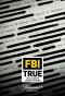 Poster for FBI True