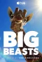 Poster for Big Beasts
