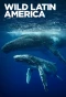 Poster for Wild Latin America