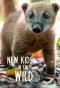 Poster for New Kids in the Wild
