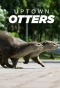 Poster for Uptown Otters
