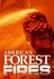 Poster for American Forest Fires: The Untold Story