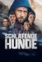 Poster for Schlafende Hunde