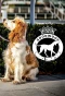 Poster for Goodwoof
