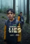 Poster for School of Lies