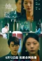 Poster for The Lady and the Lies