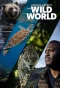 Poster for Patrick Aryee's Wild World