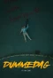 Poster for Dummedag