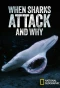 Poster for When Sharks Attack... And Why