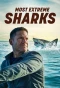 Poster for Most Extreme Sharks