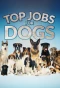 Poster for Top Jobs for Dogs