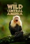Poster for Wild Central America