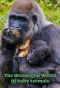 Poster for The Wonderful World of Baby Animals