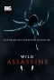 Poster for Wild Assassins