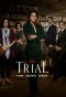 Poster for The Trial: Pyaar Kaanoon Dhokha