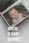 Poster for Where Is Baby Gabriel?