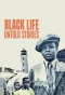 Poster for Black Life: Untold Stories