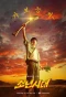 Poster for Boyhood