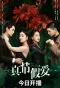 Poster for True False Love