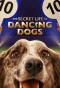 Poster for The Secret Life of Dancing Dogs