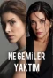 Poster for Ne Gemiler Yaktım