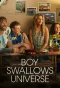 Poster for Boy Swallows Universe