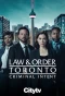 Poster for Law & Order Toronto: Criminal Intent